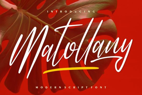 Matollany: Elegant Script Font for Modern Web Design
