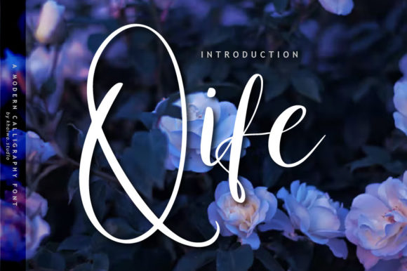 Qife Script: The Perfect Font for Timeless Branding and Eye-Catching Design