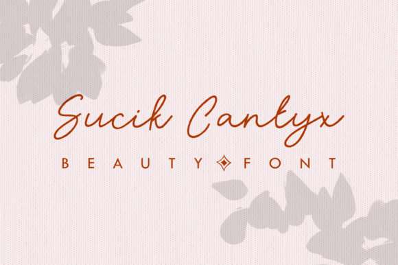 Sucik Cantyx: A Casual Script Font for Thoughtful Editorial Design