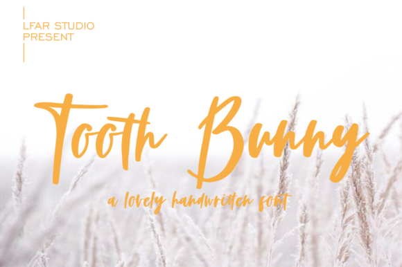 Tooth Bunny: A Script Font for Editorial Elegance